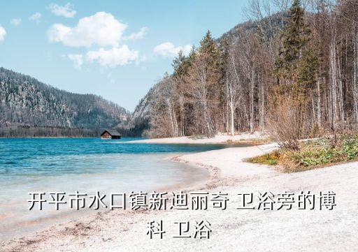  開平市水口鎮(zhèn)新迪麗奇 衛(wèi)浴旁的博科 衛(wèi)浴