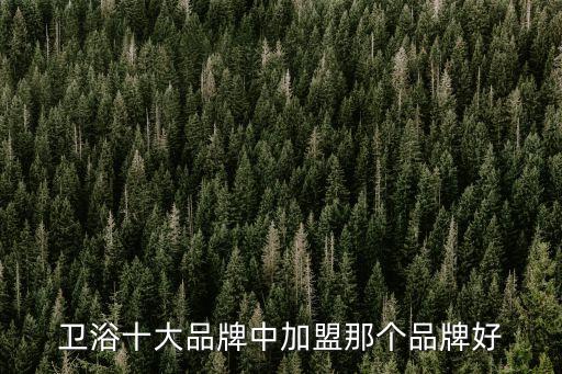 衛(wèi)浴十大品牌中加盟那個(gè)品牌好