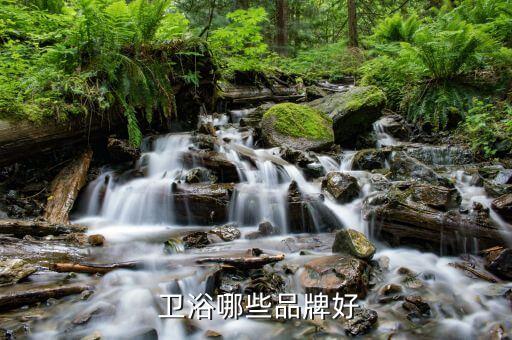航標(biāo)衛(wèi)浴商標(biāo),世界著名衛(wèi)浴制造商名錄出爐!