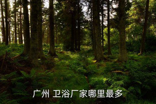 潮州三星衛(wèi)浴,潮州衛(wèi)浴要注意什么?