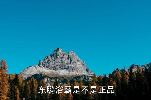  東鵬浴霸是不是正品
