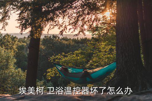 埃美柯 衛(wèi)浴溫控器壞了怎么辦