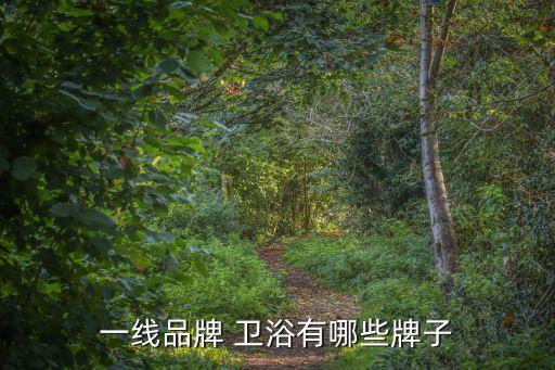 衛(wèi)浴品牌及市場(chǎng),衛(wèi)浴知多少?問(wèn)與答（20）