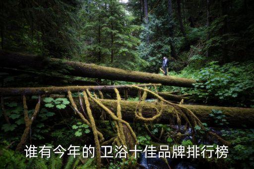 帕羅娜衛(wèi)浴產(chǎn)品,20182018全球衛(wèi)浴排名出爐