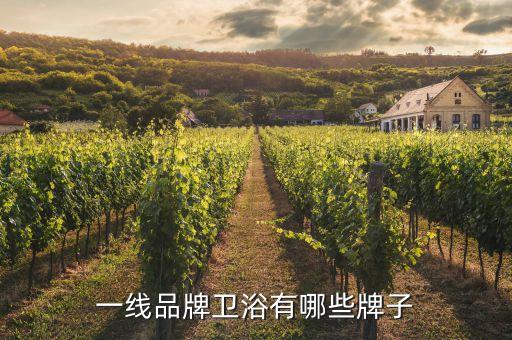 一線品牌衛(wèi)浴有哪些牌子