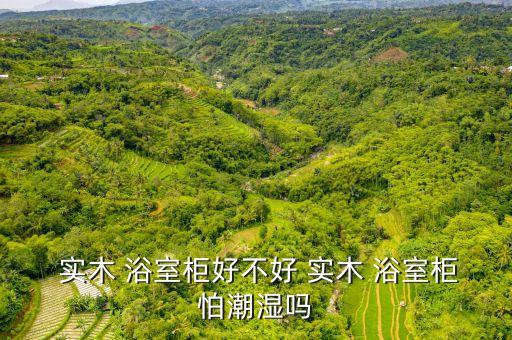  實(shí)木 浴室柜好不好 實(shí)木 浴室柜怕潮濕嗎
