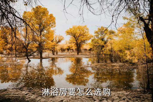 衛(wèi)浴蒸汽機,衛(wèi)生間五大關(guān)鍵問題須解決