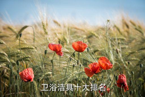  衛(wèi)浴潔具十大排名