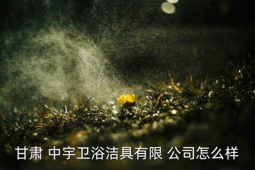 中宇衛(wèi)浴公司,甘肅中宇衛(wèi)浴有限公司處于撤銷狀態(tài)