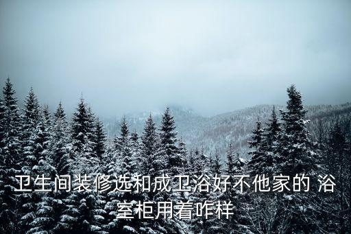 衛(wèi)生間裝修選和成衛(wèi)浴好不他家的 浴室柜用著咋樣
