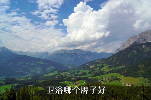  衛(wèi)浴哪個(gè)牌子好
