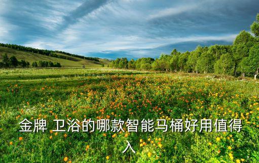  金牌 衛(wèi)浴的哪款智能馬桶好用值得入