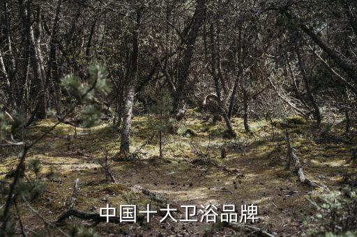 佛山九牧衛(wèi)浴,九牧衛(wèi)浴假貨很多佛山和廣州比較好