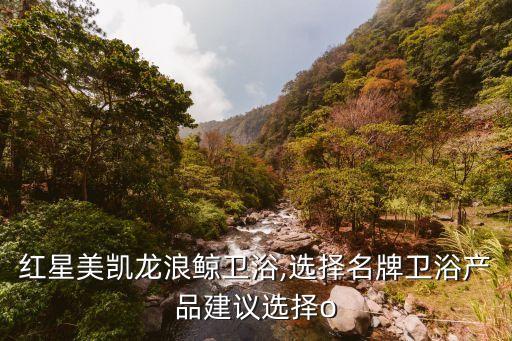 濟(jì)南紅星美凱龍浪鯨衛(wèi)浴,選擇名牌衛(wèi)浴產(chǎn)品建議選擇o