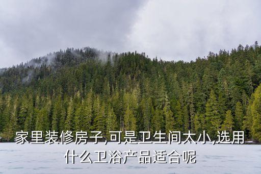 實(shí)木衛(wèi)浴產(chǎn)品,法恩莎浴室柜來(lái)自意大利享譽(yù)中國(guó)市場(chǎng)