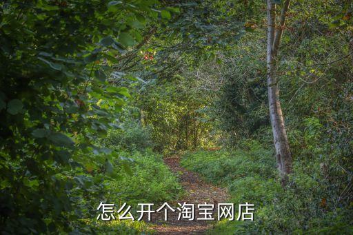 開(kāi)淘寶賣衛(wèi)浴管安裝嗎,如何開(kāi)淘寶網(wǎng)店?