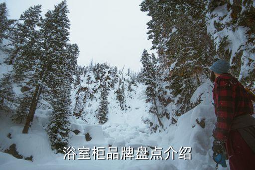 浴室柜品牌盤點(diǎn)介紹