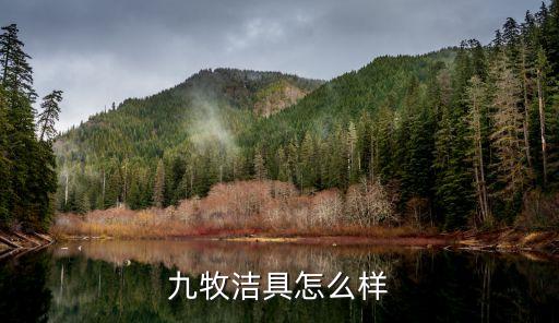 九牧衛(wèi)浴相關(guān)推薦,九牧衛(wèi)浴比較好!看看他家馬桶怎么樣了?
