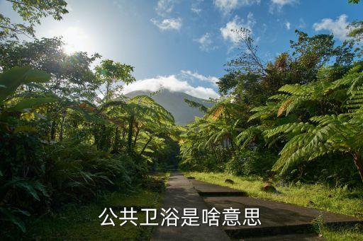 無衛(wèi)浴是什么意思,整體衛(wèi)浴與家用衛(wèi)浴之別