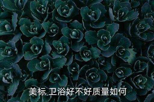  美標(biāo) 衛(wèi)浴好不好質(zhì)量如何