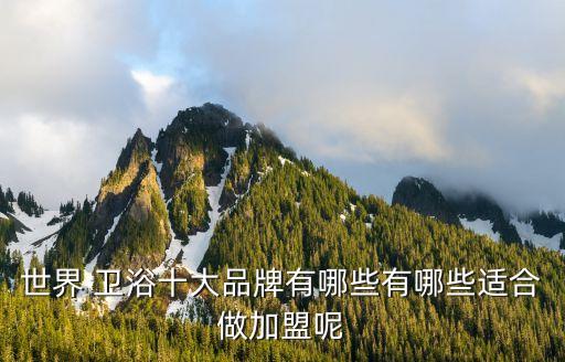 世界 衛(wèi)浴十大品牌有哪些有哪些適合做加盟呢