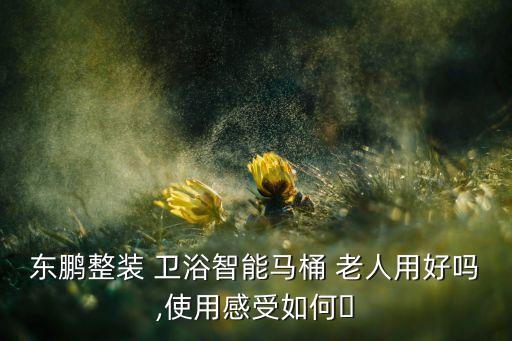 東鵬整裝 衛(wèi)浴智能馬桶 老人用好嗎,使用感受如何?