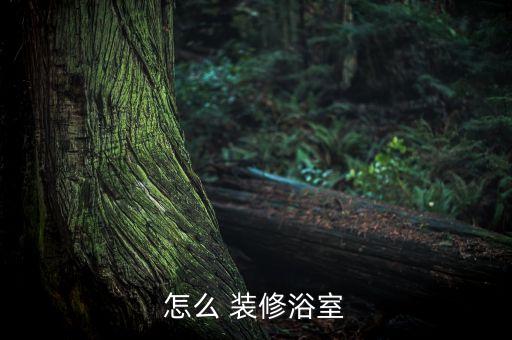 衛(wèi)浴裝修樣板,中國風(fēng)衛(wèi)浴看得見摸得著裝修注意細(xì)節(jié)