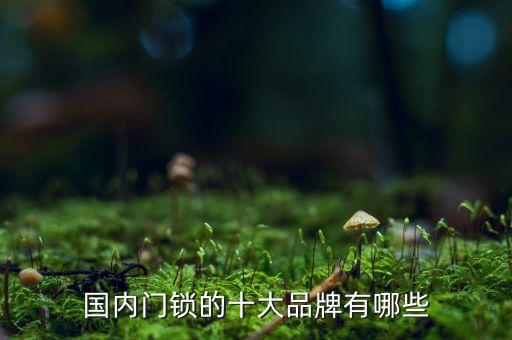 愛迪爾衛(wèi)浴品牌,門鎖十大品牌