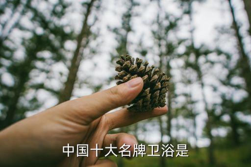 江門衛(wèi)浴 中企動力技術(shù)支持,中國十大衛(wèi)浴品牌出爐!