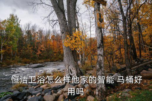  恒潔衛(wèi)浴怎么樣他家的智能 馬桶好用嗎