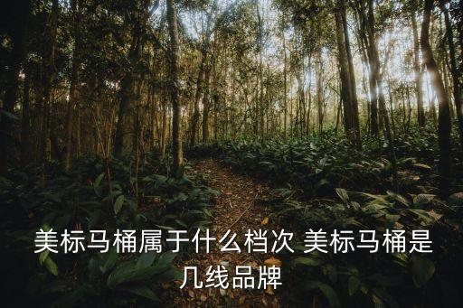  美標(biāo)馬桶屬于什么檔次 美標(biāo)馬桶是幾線品牌