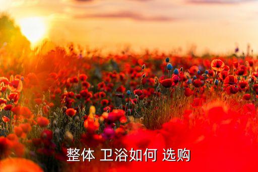 整體 衛(wèi)浴如何 選購(gòu)