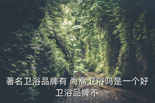 著名衛(wèi)浴品牌有 尚高衛(wèi)浴嗎是一個好衛(wèi)浴品牌不