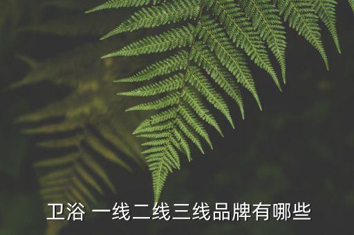  衛(wèi)浴 一線二線三線品牌有哪些