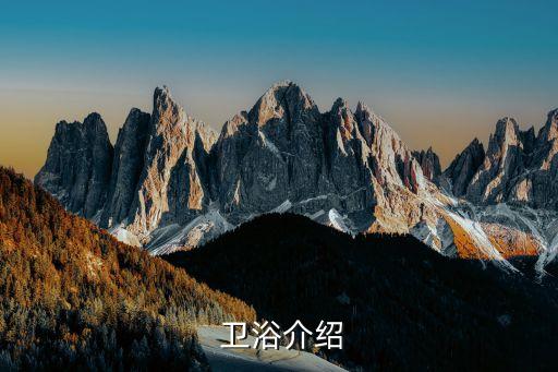  衛(wèi)浴介紹