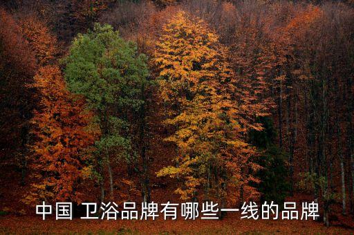 名上衛(wèi)浴屬幾線品牌,衛(wèi)生用品排名前列推薦（一）