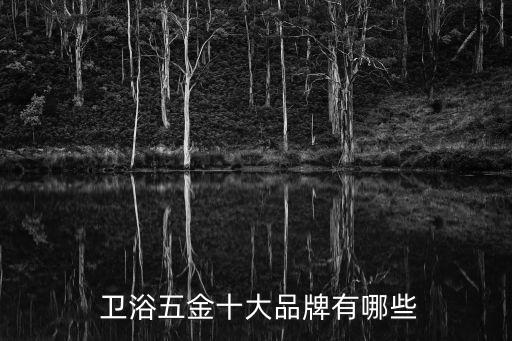 合資衛(wèi)浴品牌排行榜前十名,如何挑選合心意的衛(wèi)浴產品?