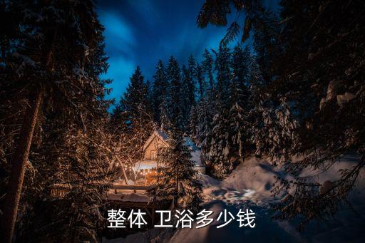 整體 衛(wèi)浴多少錢