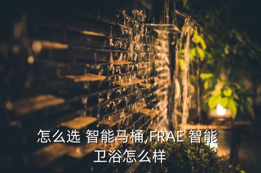 智能衛(wèi)浴座便器系統(tǒng),個人覺得frae智能馬桶非常適合