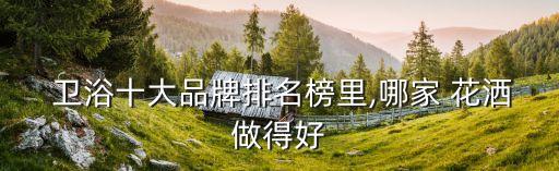 申雷達衛(wèi)浴花灑128,亞丁花灑一般質(zhì)保20年或更早上市