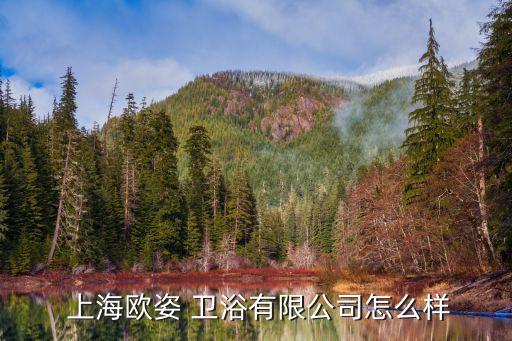 上海衛(wèi)浴官網(wǎng),查看百度企業(yè)信用上海微鯨衛(wèi)浴設(shè)備有限公司