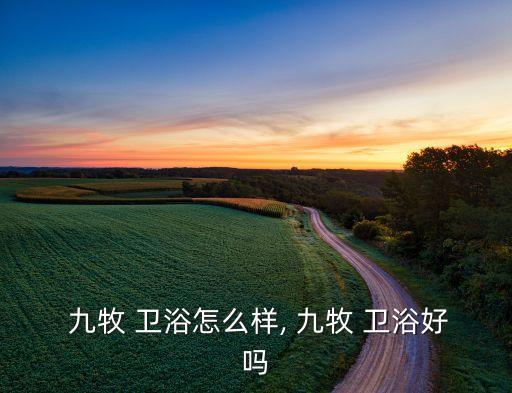  九牧 衛(wèi)浴怎么樣, 九牧 衛(wèi)浴好嗎