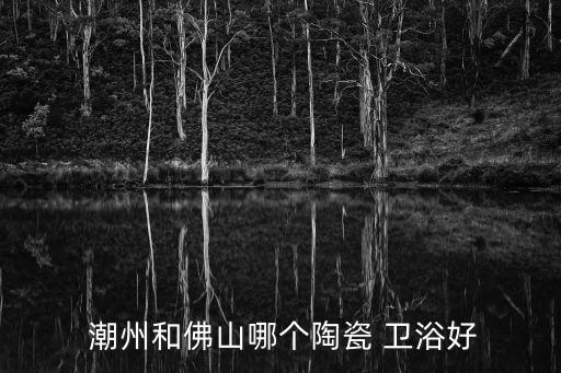  潮州和佛山哪個(gè)陶瓷 衛(wèi)浴好