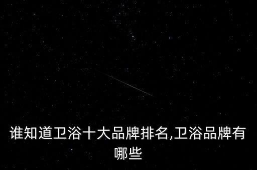 誰知道衛(wèi)浴十大品牌排名,衛(wèi)浴品牌有哪些