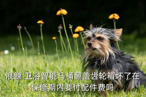衛(wèi)浴三包,朗鯨衛(wèi)浴專注整體衛(wèi)浴產品研發(fā)不要買科勒衛(wèi)浴品