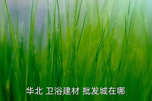 西寧衛(wèi)浴批發(fā)市場,想知道華北衛(wèi)浴建材批發(fā)城市在哪里