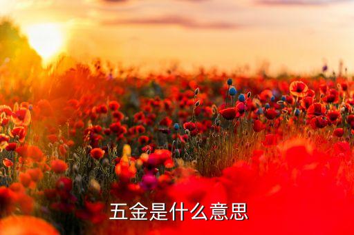  五金是什么意思