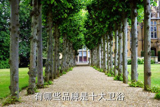 朗司衛(wèi)浴花灑,浴室柜品牌推薦一下安華衛(wèi)浴這個(gè)恒溫花灑很好用
