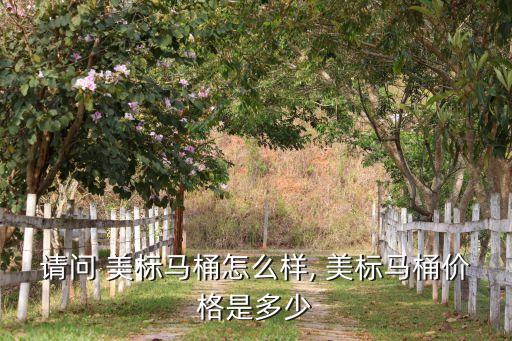 請問 美標馬桶怎么樣, 美標馬桶價格是多少