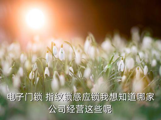 電子門鎖 指紋鎖感應鎖我想知道哪家公司經(jīng)營這些呢